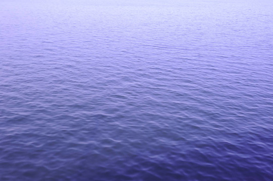 海摘要