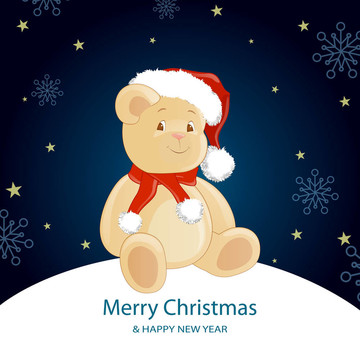 圣誕節(jié)Teddy Bear