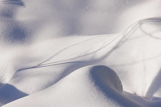 山上的新鮮雪