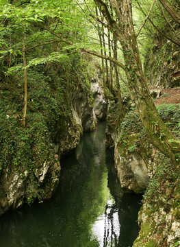 山區(qū)河流
