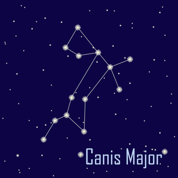 大犬星座在夜空中的星。插畫