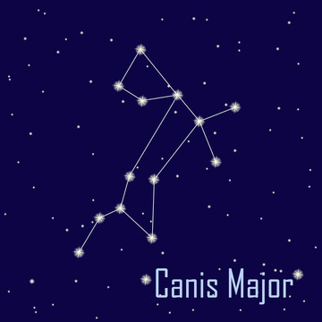 大犬星座在夜空中的星。插畫