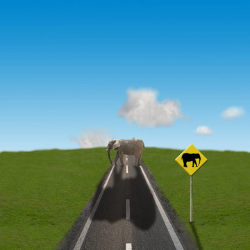道路上的重型運(yùn)輸。