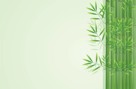 摘要竹背景