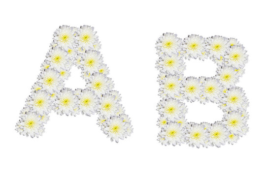 字母AB；White Flower孤立在白色背景