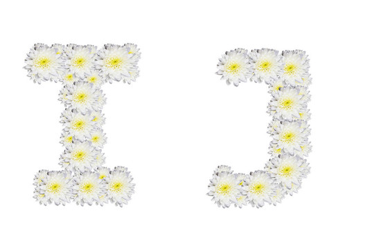 字母ij；白色的花