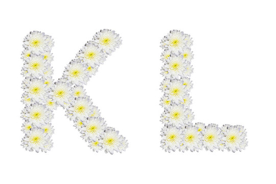 字母KL；White Flower孤立在白色背景
