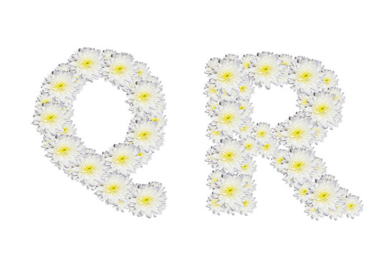 字母QR；White Flower孤立在白色背景