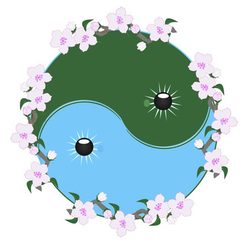 營、楊、櫻桃blossomsl