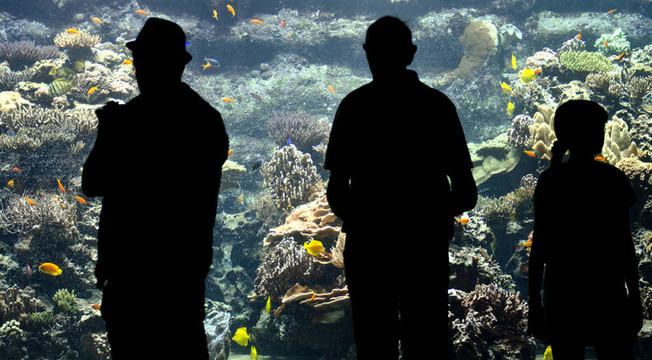 水族館