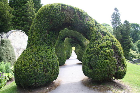 花園隧道