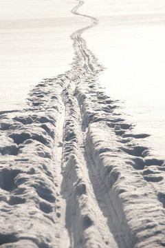 越野滑雪道