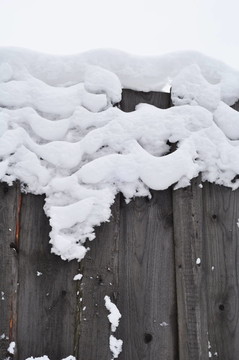 籬笆上的雪