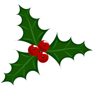 Holly berry