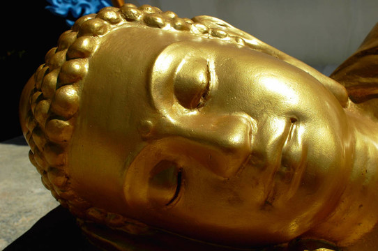 Golden Buddha的頭