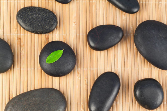 其中有一片葉子的黑色石頭