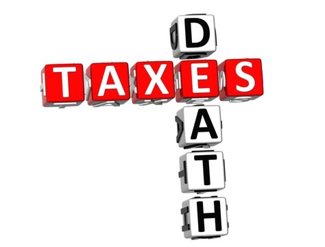 3d死亡税填字