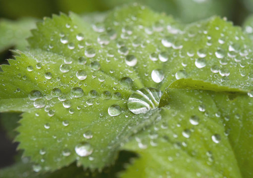 雨滴