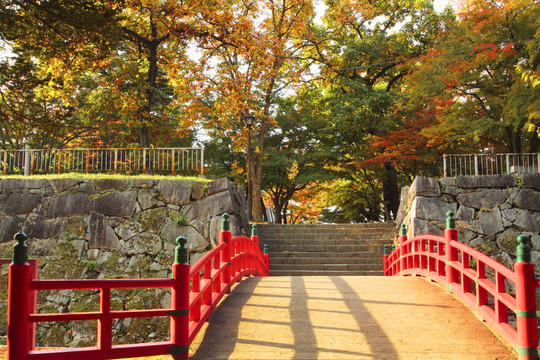 在巖手公園的彩色的葉子