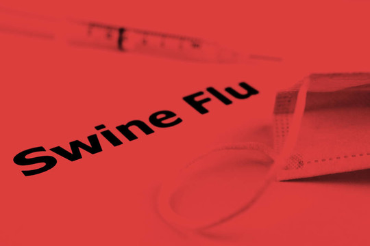 甲型H1N1流感病毒