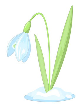 雪花蓮（20）.jpg