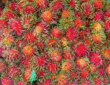 束紅毛丹