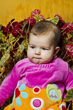 新生的嬰兒