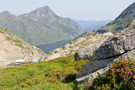 在比利牛斯山脈的典型觀；Ariege；法國(guó)