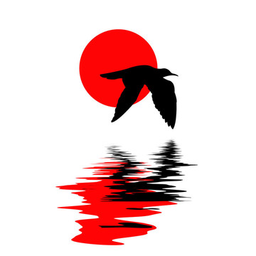 海鷗在白色背景上的水的輪廓