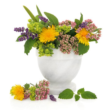 愈合草藥和Flowers