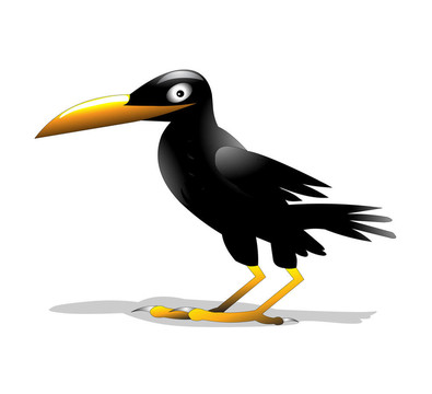 孤獨(dú)的鳥烏鴉是絕緣的