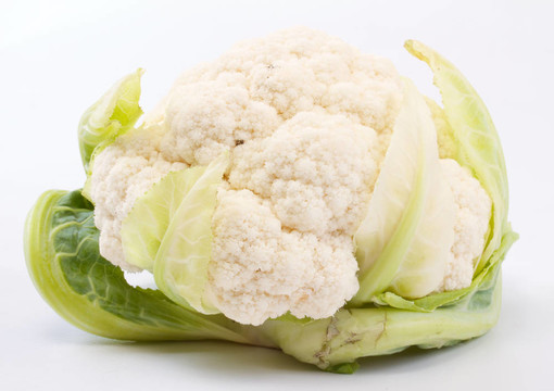 白色新鮮花椰菜