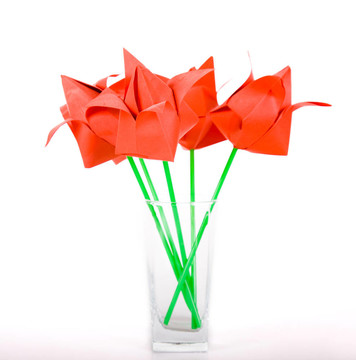 origamis。郁金香.
