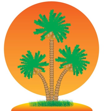 棕櫚樹和島。