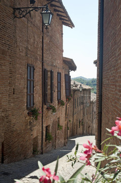Sarnano（馬切拉塔；游行；意大利）-老街