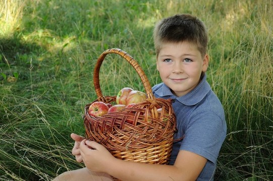 一个篮子里有一个红苹果的孩子