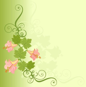 明信片的花