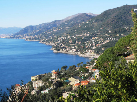 Camogli。意屬里維耶拉