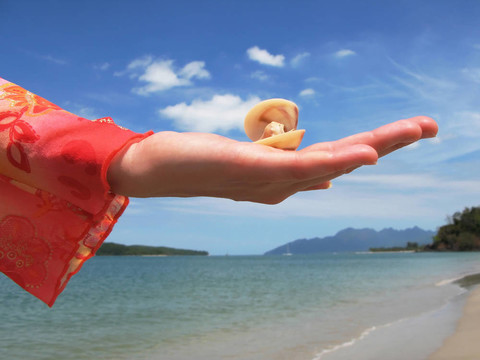 貝殼的手在沙灘上Langkawi；馬來西亞