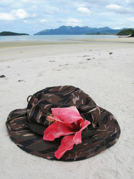 巴拿馬沙灘上的偽裝。Langkawi；馬來西亞