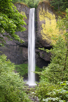 Latourell Falls在俄勒岡