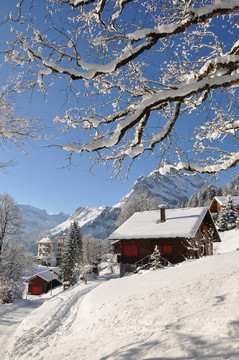 Braunwald；瑞士著名的滑雪勝地