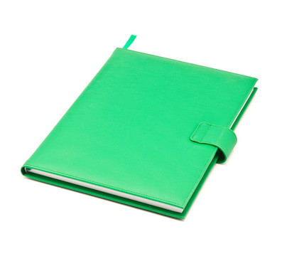 綠皮書