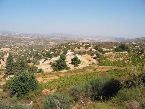 Cyprian景觀