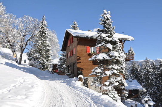 Braunwald；瑞士著名的滑雪勝地