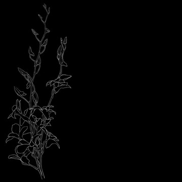 背景盛開(kāi)的花朵