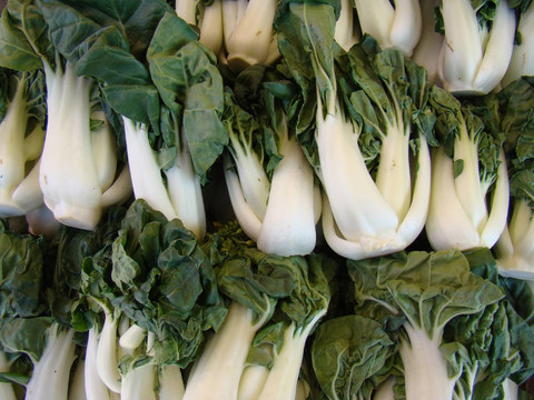 新鮮白菜