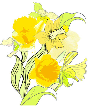 水仙花卡