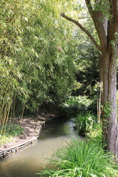 花園里的河