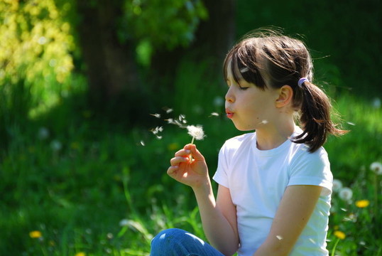 女孩吹蒲公英